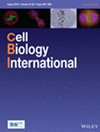 CELL BIOLOGY INTERNATIONAL雜志封面